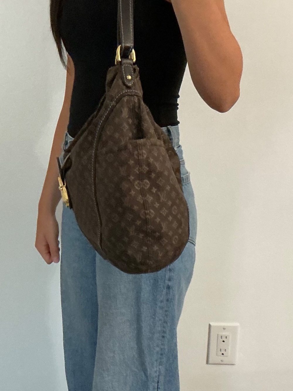 Louis Vuitton Designer Bag with Dust Bag - Picture 4 of 8